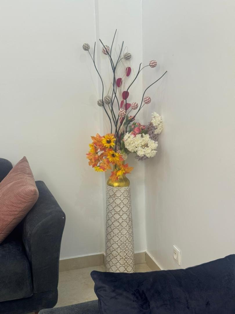 Appartement Le Baobab